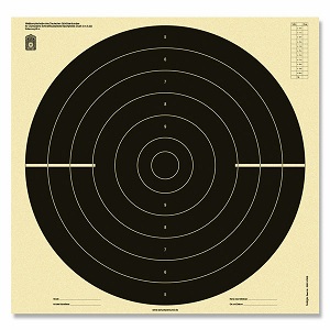 25 metre duel target
